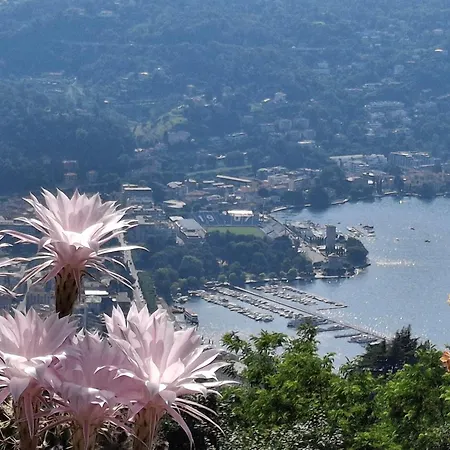 홈스테이 Brunate98 *