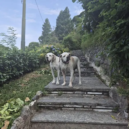 Brunate98 בית אירוח קומו