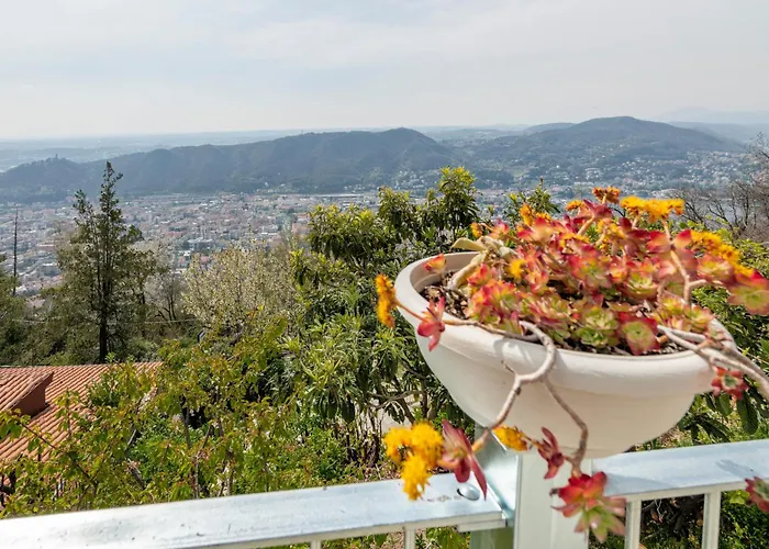 Brunate98 Проживание в семье