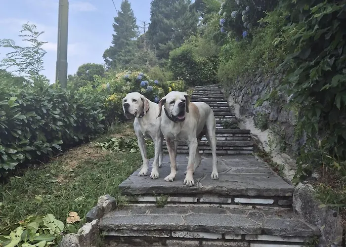 Brunate98 Проживание в семье Комо