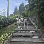 Brunate98 Проживание в семье Комо